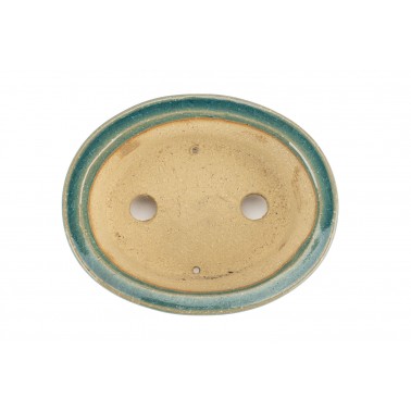 Maceta Bonsái Shibakatsu 24019