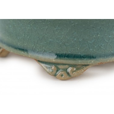 Maceta Bonsái Shibakatsu 24019