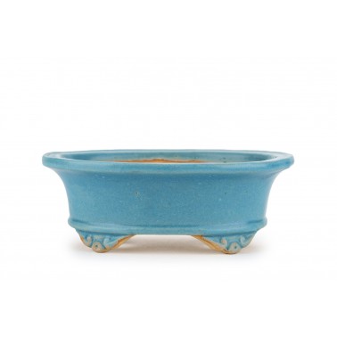 Maceta Bonsái Shibakatsu 24022