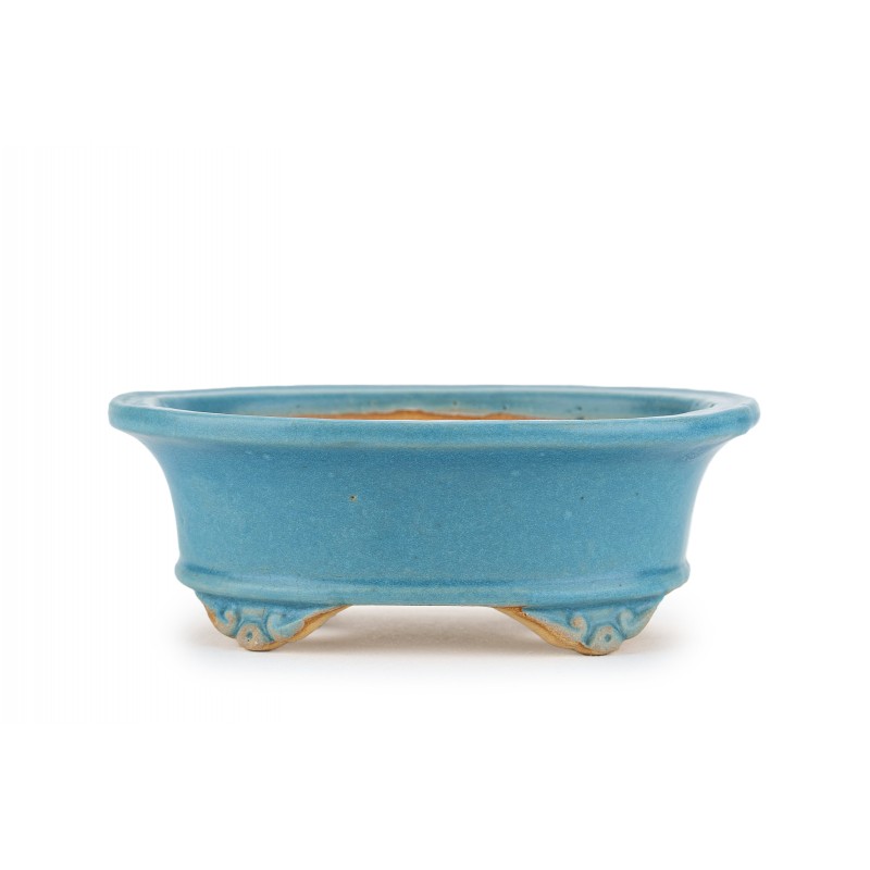 Maceta Bonsái Shibakatsu 24022