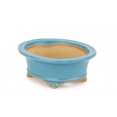 Maceta Bonsái Shibakatsu 24022