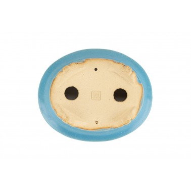 Maceta Bonsái Shibakatsu 24022