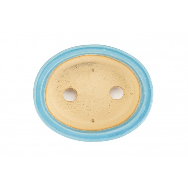 Maceta Bonsái Shibakatsu 24022