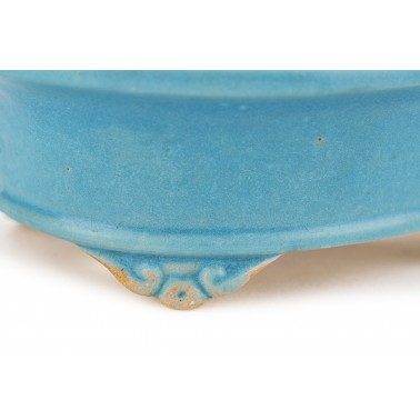 Maceta Bonsái Shibakatsu 24022