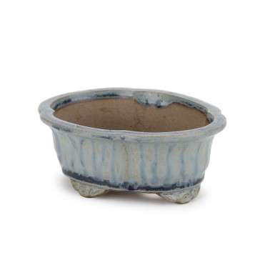 Maceta Bonsái Shibakatsu 24024