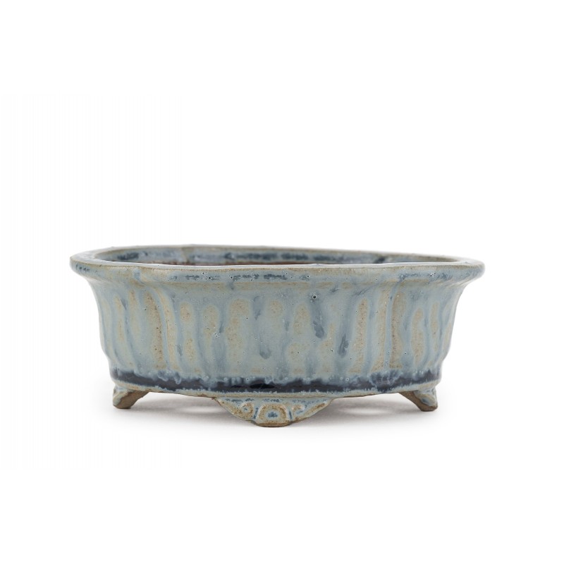 Maceta Bonsái Shibakatsu 24024