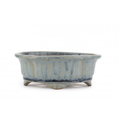 Maceta Bonsái Shibakatsu 24024