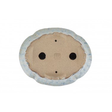 Maceta Bonsái Shibakatsu 24024