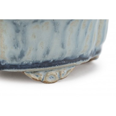 Maceta Bonsái Shibakatsu 24024