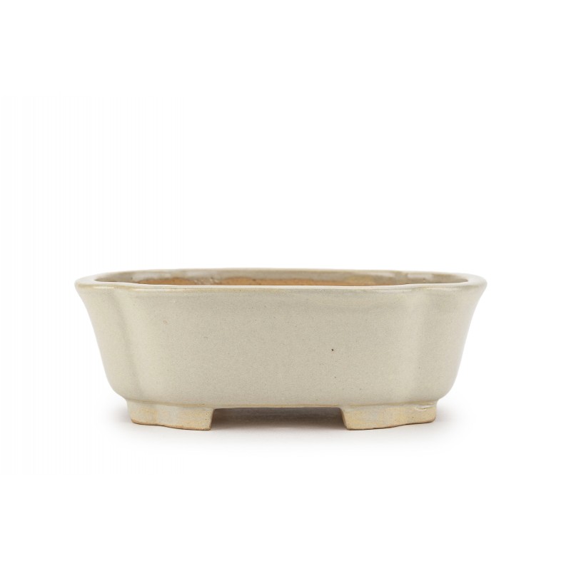 Maceta Bonsái Shibakatsu 24025