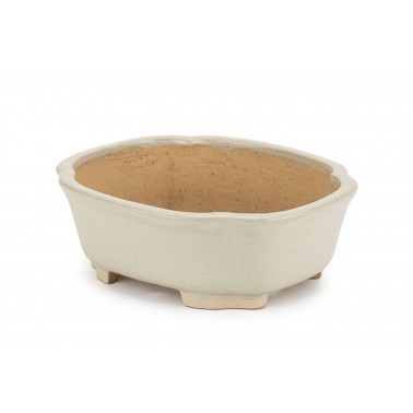 Maceta Bonsái Shibakatsu 24025