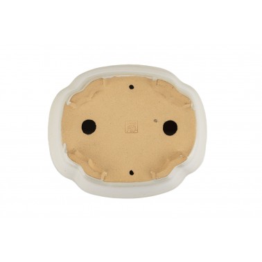 Maceta Bonsái Shibakatsu 24025