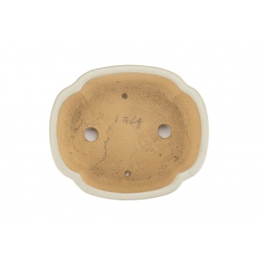 Maceta Bonsái Shibakatsu 24025