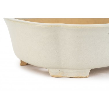 Maceta Bonsái Shibakatsu 24025