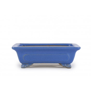 Maceta Bonsái Shibakatsu 24026