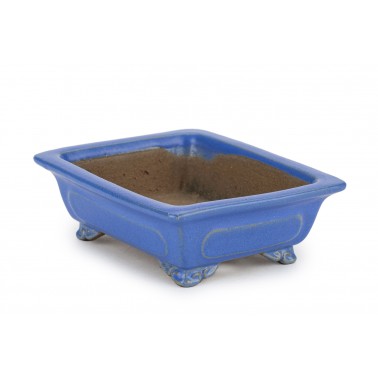 Maceta Bonsái Shibakatsu 24026