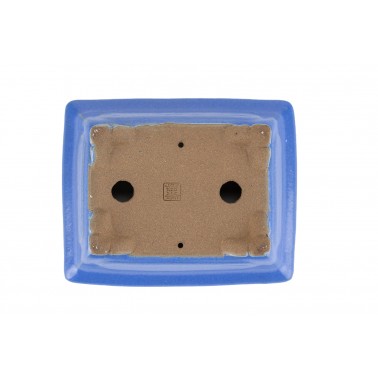 Maceta Bonsái Shibakatsu 24026