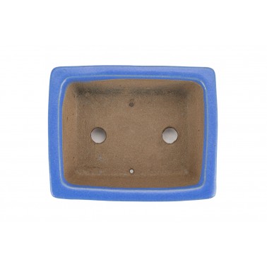 Maceta Bonsái Shibakatsu 24026