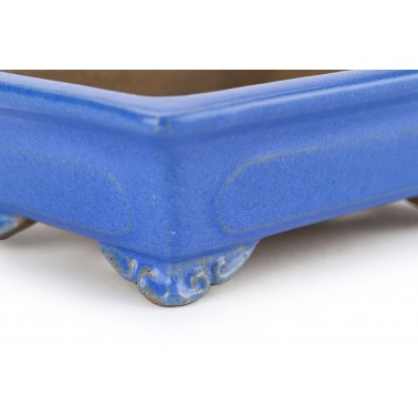 Maceta Bonsái Shibakatsu 24026