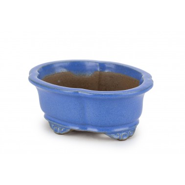 Maceta Bonsái Shibakatsu 24027