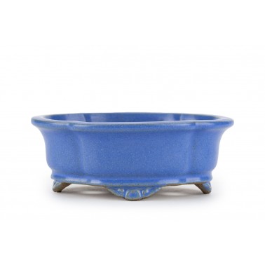 Maceta Bonsái Shibakatsu 24027