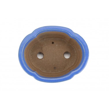 Maceta Bonsái Shibakatsu 24027