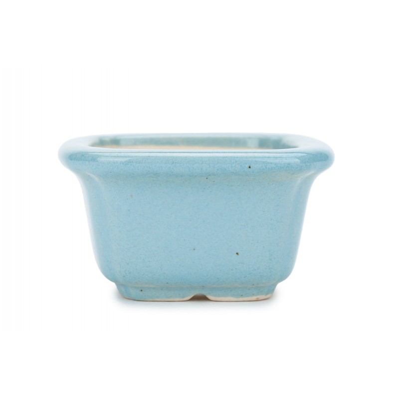 Maceta Bonsái Yixing WX-02NB