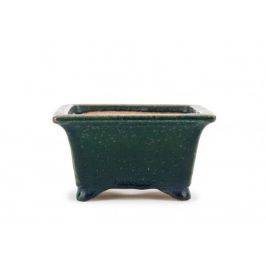 Maceta Bonsái Autor Desconocido 25013