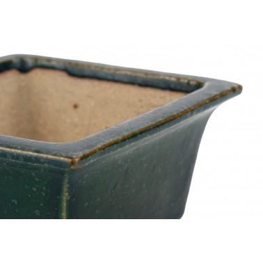 Maceta Bonsái Autor Desconocido 25013