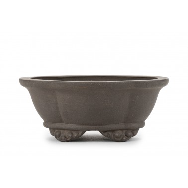 Maceta Bonsái Autor Desconocido 25015