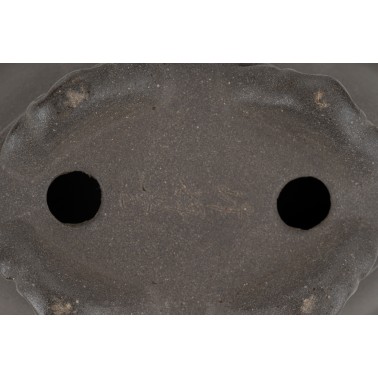 Maceta Bonsái Autor Desconocido 25015