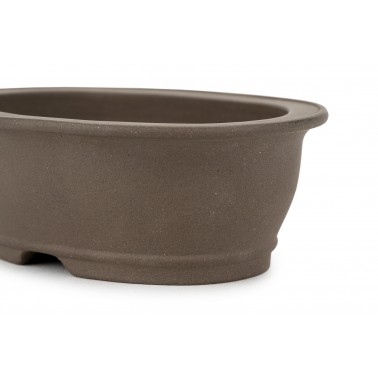 Maceta Bonsái Autor Desconocido 25018