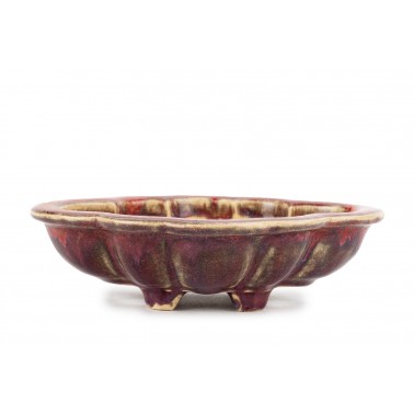 Sharaku Bonsai Pot 25028