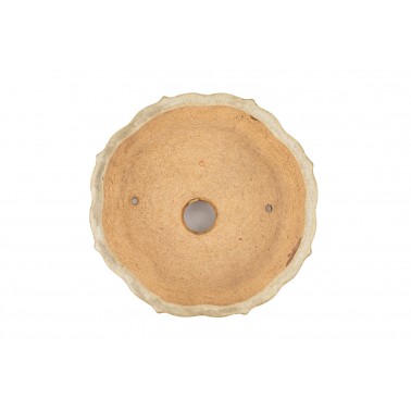 Maceta Bonsái Hattori 25029