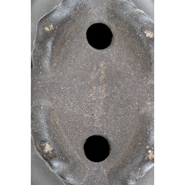 Maceta Bonsái Autor Desconocido 25015