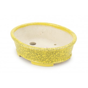 Shibakatsu Bonsai Pot 26102