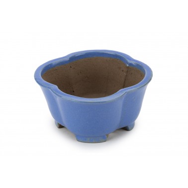 Shibakatsu Bonsai Pot 26103
