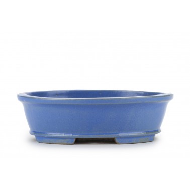 Shibakatsu Bonsai Pot 26118