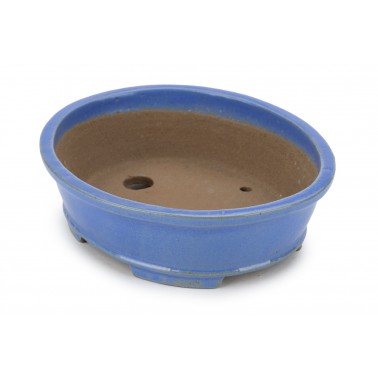 Shibakatsu Bonsai Pot 26118