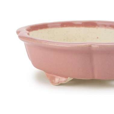 Shibakatsu Bonsai Pot 26133