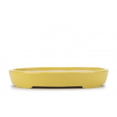 Koyo Bonsai Pot  26099