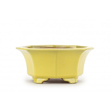 Ikko Bonsai Pot 26189