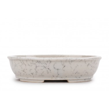 Shibakatsu Bonsai Pot 26191