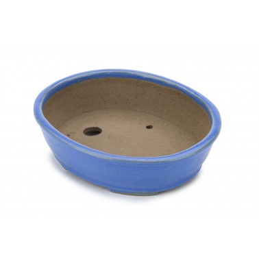 Shibakatsu Bonsai Pot 26132