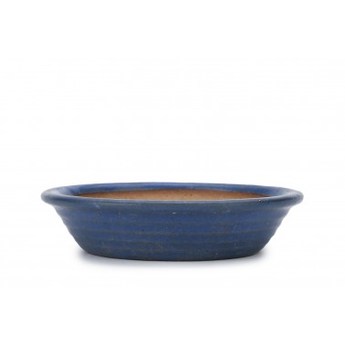 Reihou Bonsai Pot 26142
