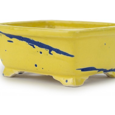 Shinakatsu Bonsai Pot 26144