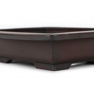 Bigei Bonsai Pot 26146