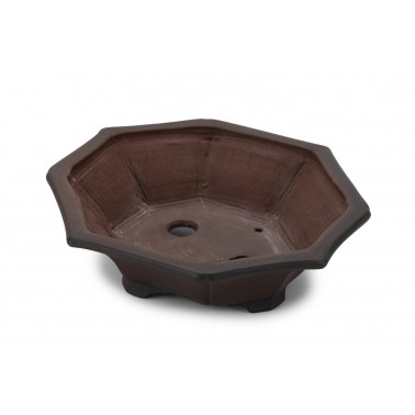 Bigei Bonsai Pot 26147