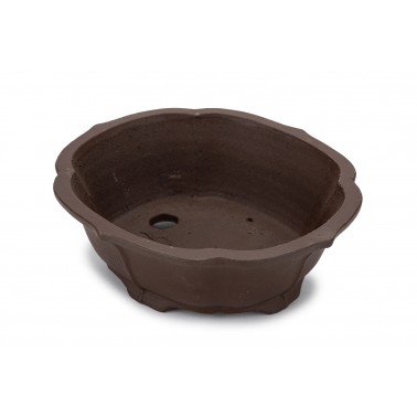 Shibakatsu Bonsai Pot 26156