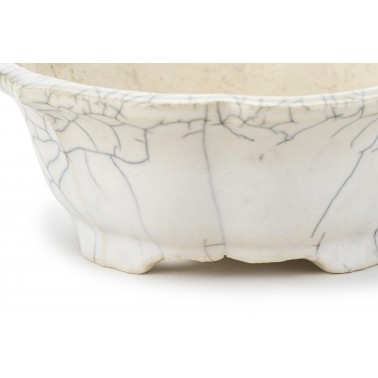 Shibakatsu Bonsai Pot 26158